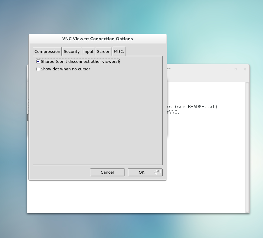VNC
